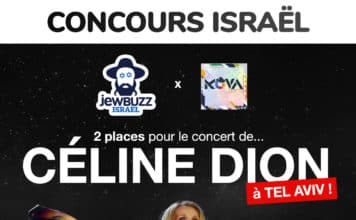 CONCOURS : 2 places pour le concert de Céline Dion !